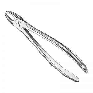 Extracting forceps, anat.